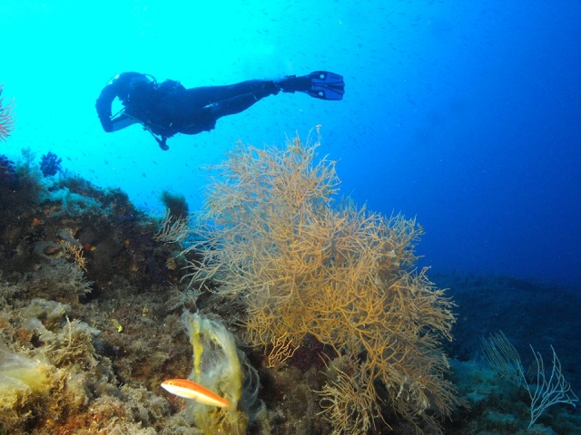  Excursiones en el Mediterráneo 